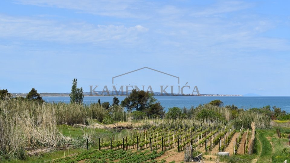 Vrsi - land of 1802 m2, with sea view from it, 250 m from the sea !!!